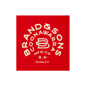 Brand and Sons resized logo